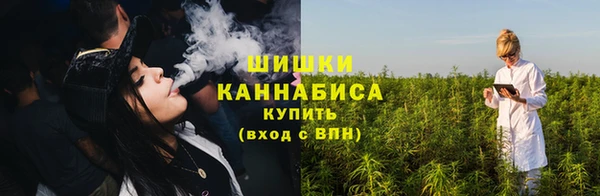 гашик Каменногорск