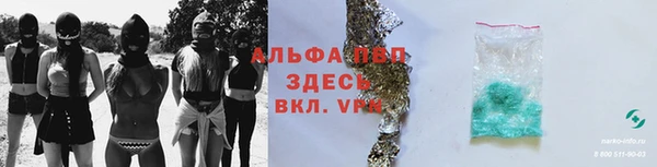 гашик Каменногорск