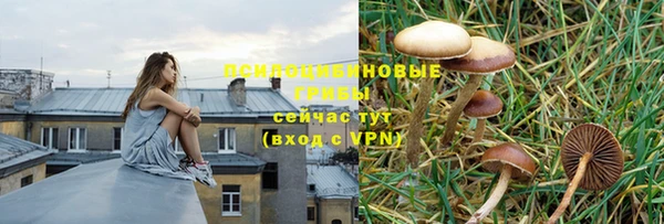 гашик Каменногорск