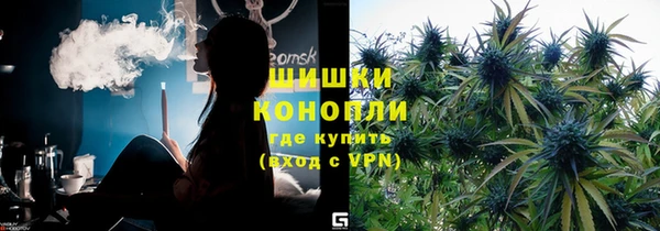 гашик Каменногорск