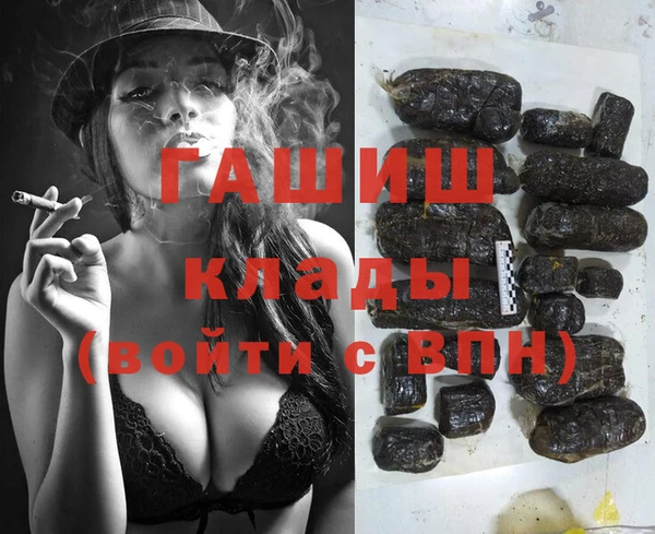 гашик Каменногорск
