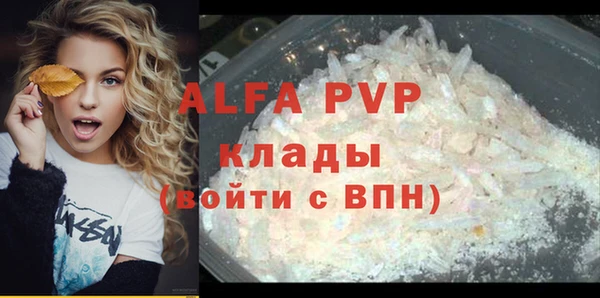 гашик Каменногорск