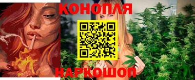 СК Камышлов
