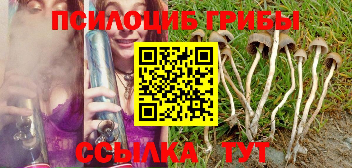 Псилоцибиновые грибы Cubensis Серпухов